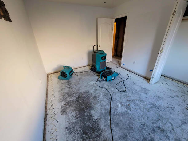 Best Water damage restoration near me  in Livingston, TN