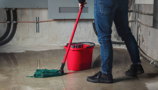 Best Local water damage restoration  in Livingston, TN