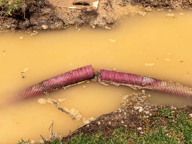 Best Commercial water damage restoration  in Livingston, TN